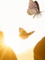 UNE PRATIQUE REIKI DE LUMIÈRE