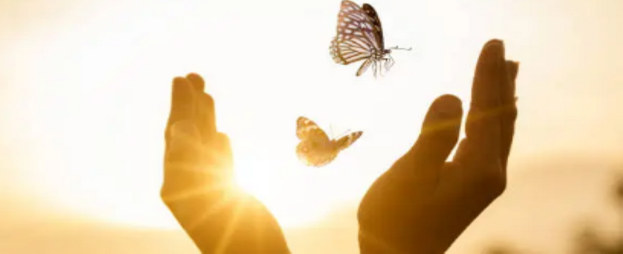 You are currently viewing UNE PRATIQUE REIKI DE LUMIÈRE