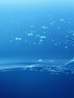 L&rsquo;EAU MESSAGÈRE DU VIVANT