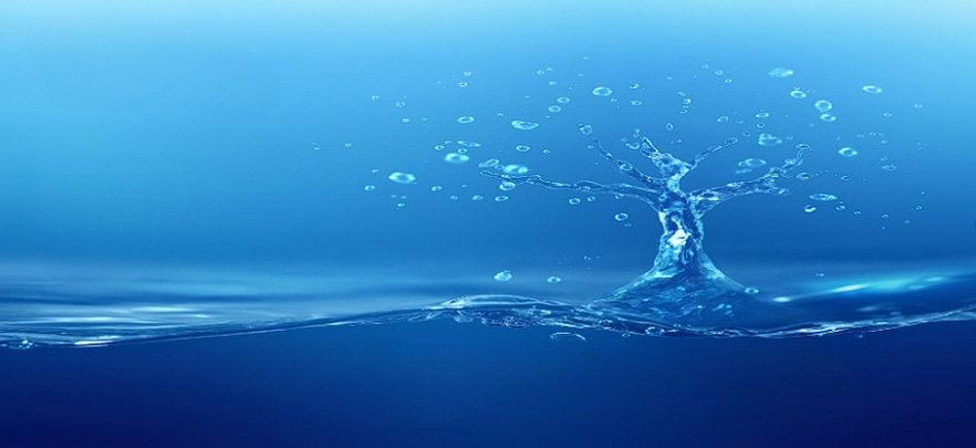 L&rsquo;EAU MESSAGÈRE DU VIVANT