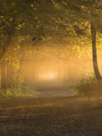 Synchronicité et intuition