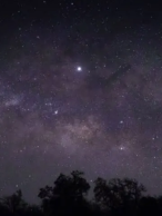 Reiki et conscience : quand la science rejoint l’invisible